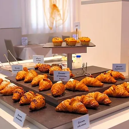 فندق بلفيدير 3*